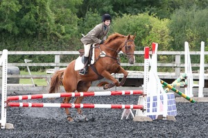 Class 5 - Fences not above 2'6